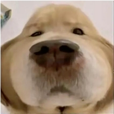 大发28·(中国游)官方网站